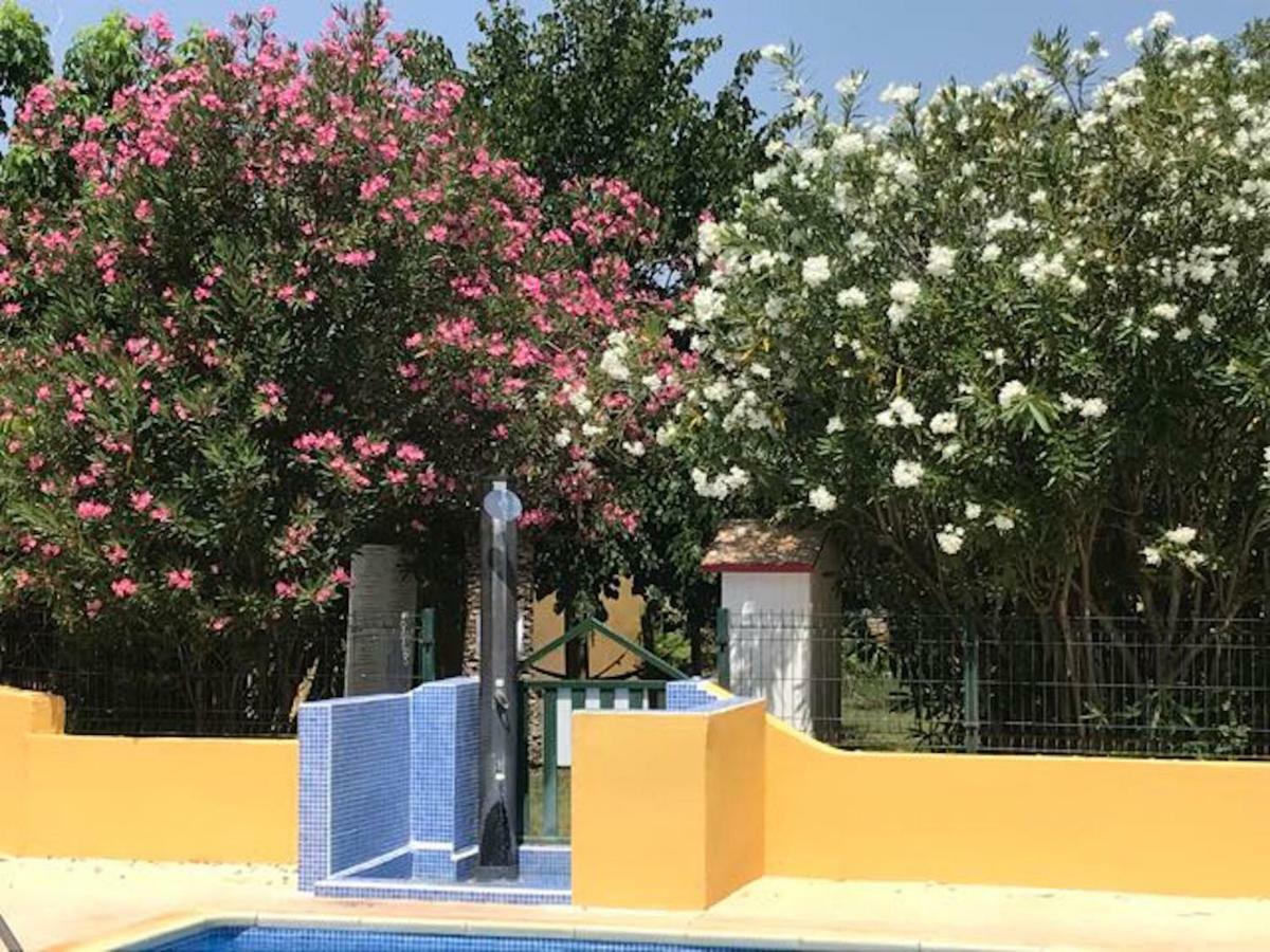 Residence Les Caraibes Serignan Luaran gambar